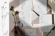 Fine line flower logo elements, an Object Illustration by Sensual Art (Thumbnail 4 of 5)