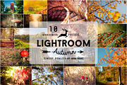 10 Autumn Vintage Lightroom Presets, a Plug-in Add-On by Jana Mänz Photography (Thumbnail 2 of 4)