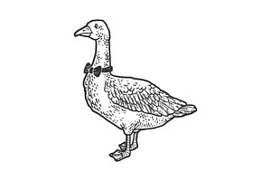 Goose In A Bow Tie Sketch Vector