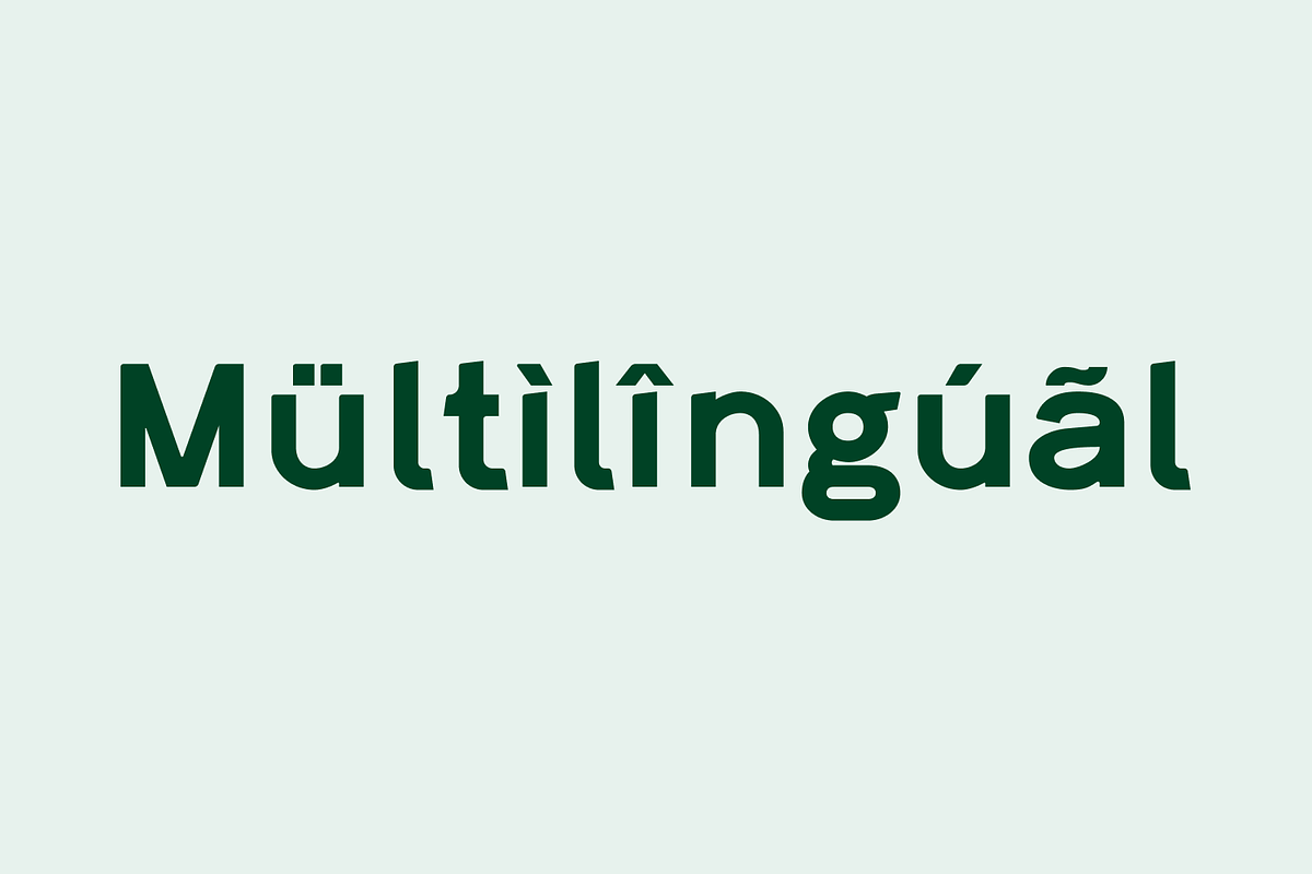 Lacerika Modern Sans Serif Font, a Sans Serif Font by IWMType (Photo 7 of 7)