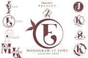 Monogram, a Symbol Font by Bramcreative (Thumbnail 1 of 15)