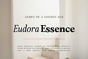 Amnesist | 12 Fonts, a Serif Font by Skinny Type (Thumbnail 3 of 12)
