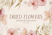 Dried flowers watercolor graphics, an Illustration by Angele Kamp (Thumbnail 1 of 10)