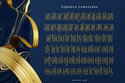 Srolemo Typeface, a Serif Font by alit design (Thumbnail 13 of 17)