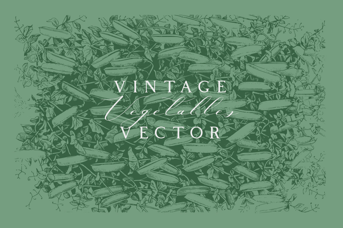 Vintage Bundle 2500+ Free Update, an Animal Illustration by Retro Machine (Photo 137 of 170)