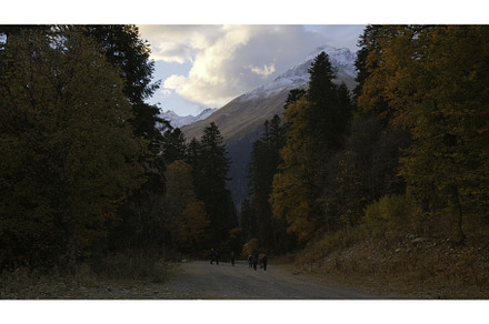 Hikers walk along road in autumn, a Person Photo by Media Whale Stock