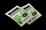 Green Classic Black Friday Flyer, a Flyer Template by Neermana (Thumbnail 4 of 4)