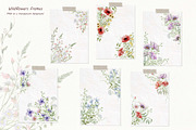Watercolor Wildflowers Botanical Set, a Decorative Illustration by BarvArt (Thumbnail 9 of 22)