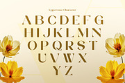 Vangier - Elegant Sans Serif Font, a Sans Serif Font by Flawless And Co (Thumbnail 6 of 10)