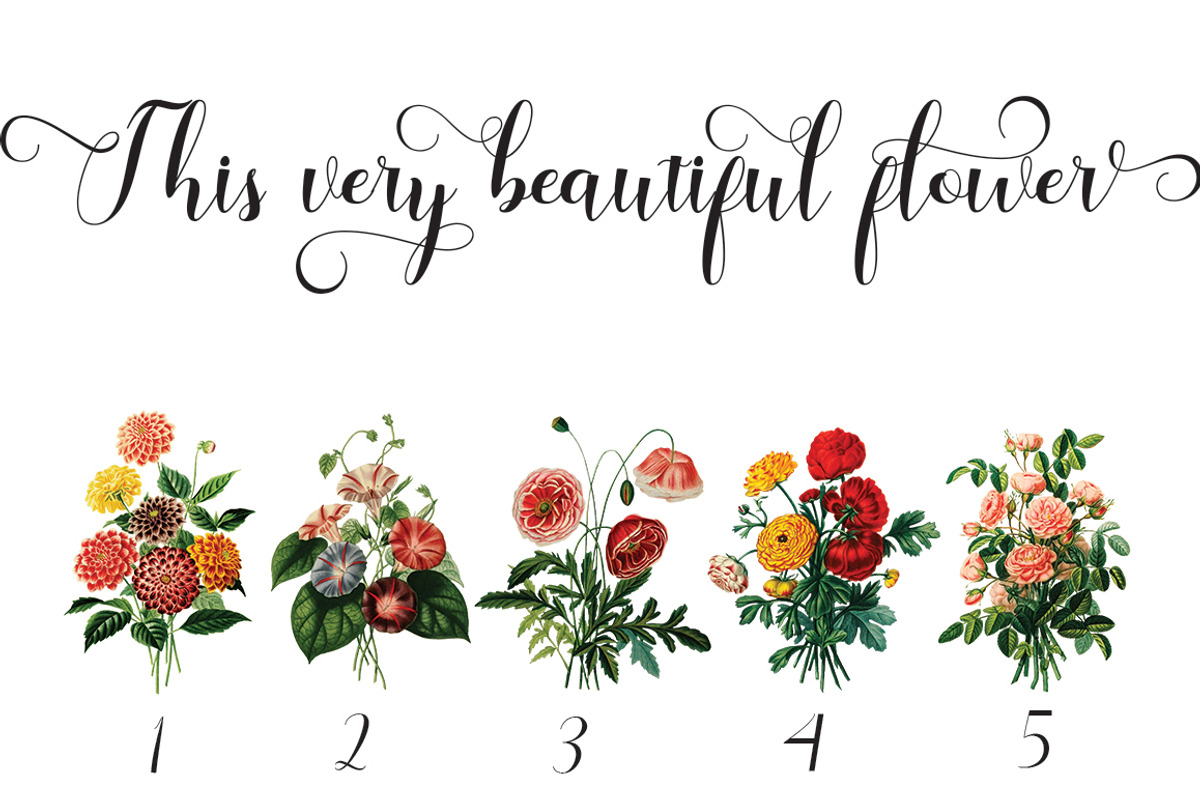 Gabrielle, a Script Font by NaldyStudio (Photo 6 of 7)