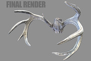 Deer Horns, an Animal 3D Model by Beatheart Creative Studio (Thumbnail 2 of 17)