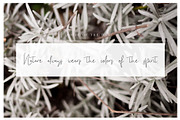 Solution Script, a Script Font by Creamy Script (Thumbnail 3 of 5)