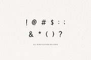 Apricot - Handlettered Serif Font, a Serif Font by Minna May Design (Thumbnail 10 of 10)