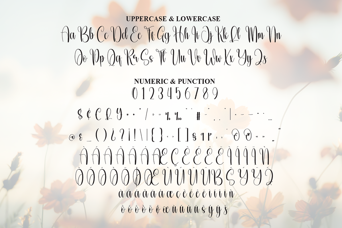 Spring | Script Font, a Handwritten Font by Scratchones (Photo 7 of 9)