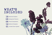 Printed Botanical Graphics, an Object Graphic by Neatly Made Studio (Thumbnail 5 of 17)