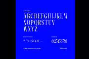 Emojin Vintage Serif Font, a Serif Font by Graphicxell (Thumbnail 8 of 8)