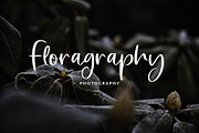 Rossitta Modern Script Font, a Script Font by Giant Design (Thumbnail 3 of 10)