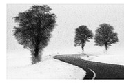 Photos to Mezzotint Photoshop Action preview 2