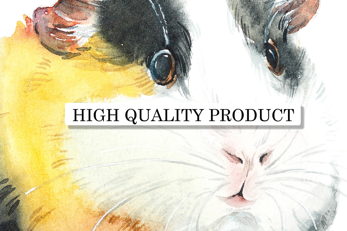 Watercolor Guinea Pigs, an Animal Illustration by Budogoshch (Photo 4 of 4)