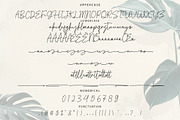 Weldatelia Monoline Script Font, a Script Font by NTC Graphic (Thumbnail 8 of 9)
