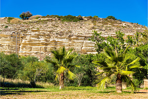 Trees at the foot of the Kourion Mount - Cyprus, a Nature Photo by Leonid Andronov