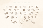 Famous - Modern Feminine Beauty Font, a Sans Serif Font by Sensatype (Thumbnail 28 of 33)