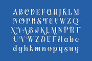 Gotten Summer Modern Serif Font, a Script Font by timelesstype.co (Thumbnail 11 of 20)
