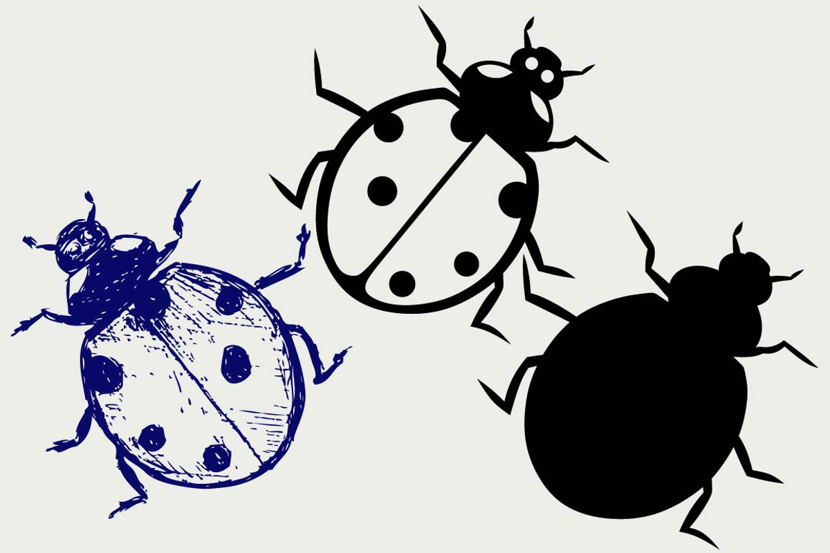 Ladybug SVG, an Outline Icon by LineworkStock