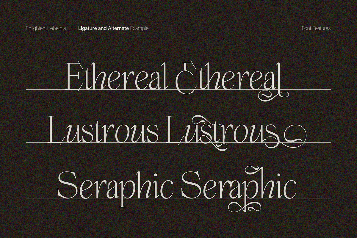 Enlighten - Aesthetic Serif Font, a Serif Font by Inviline.co (Photo 6 of 16)