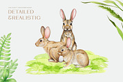 Farm Animals and Birds Clipart, an Animal Illustration by AnitaPol (Thumbnail 3 of 19)