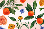 Set of flowers and citrus, a Decorative Illustration by a_ptichkina (Thumbnail 3 of 10)