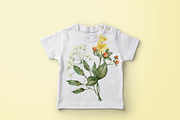 Forest Tales Watercolor Collection, a Decorative Illustration by Aurella Art (Thumbnail 9 of 17)