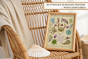 Marine Naturalist Collection, a Graphic by Kattypainting (Thumbnail 6 of 10)