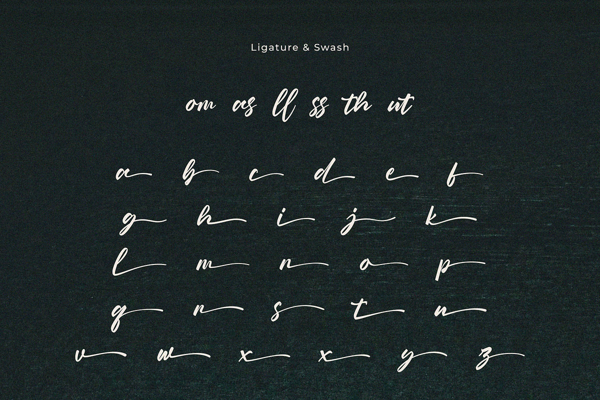 Selindia – Elegant Script Font, a Handwritten Font by BrandSemut (Photo 10 of 11)