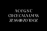 Techa - New Unique Typface, a Serif Font by AnnofaType (Thumbnail 7 of 8)