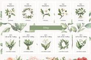 Birthday Flowers, a Decorative Illustration by PeDe Designs (Thumbnail 6 of 10)
