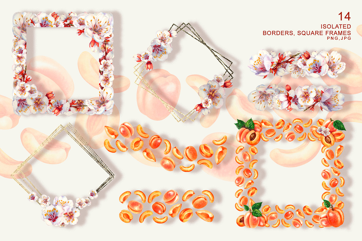 Apricot Fruits & Flowers, watercolor, a Food Illustration by EL_SUHOVA (Photo 11 of 17)