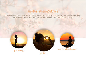 WordPress Theme Soft Tide