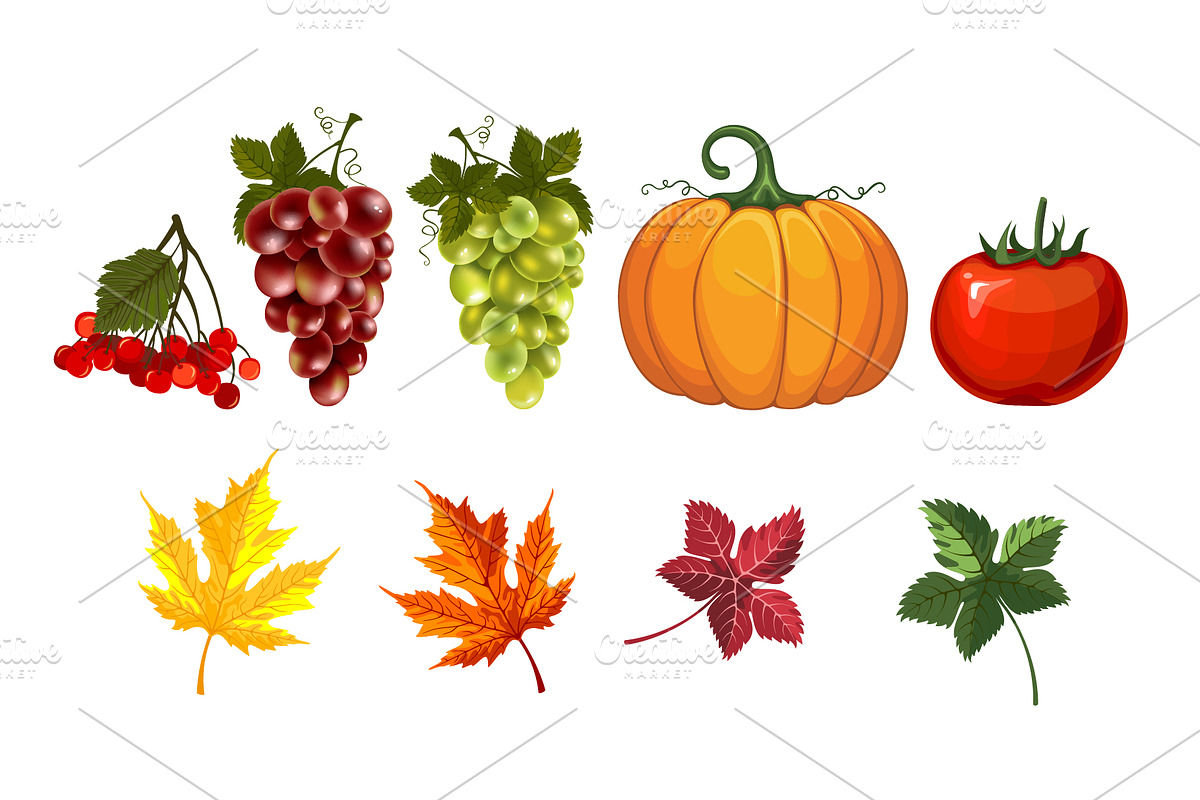 Thanksgiving Vector Set, a Decorative Illustration by Vector beauty (Photo 3 of 3)
