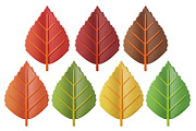 Cute 3D Autumn Leaves, a Plants & Tree 3D Model by Hannet (Thumbnail 13 of 14)
