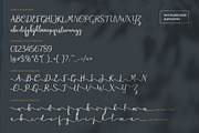 Bryan Letter, a Script Font by Pollux of Geminorum (Thumbnail 10 of 12)