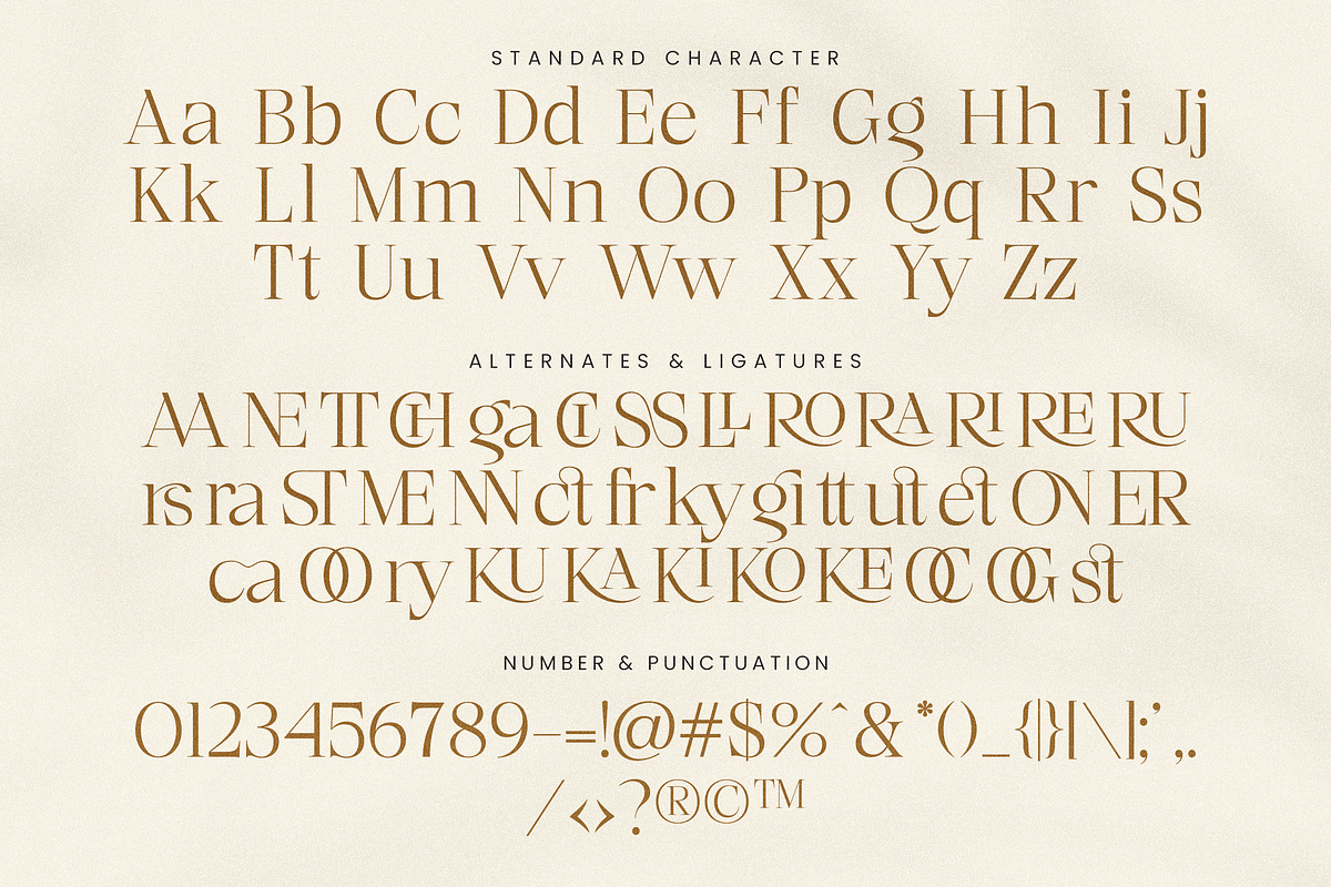 Luxury Styilsh Modern Serif Font, a Serif Font by Lettersiro (Photo 7 of 7)