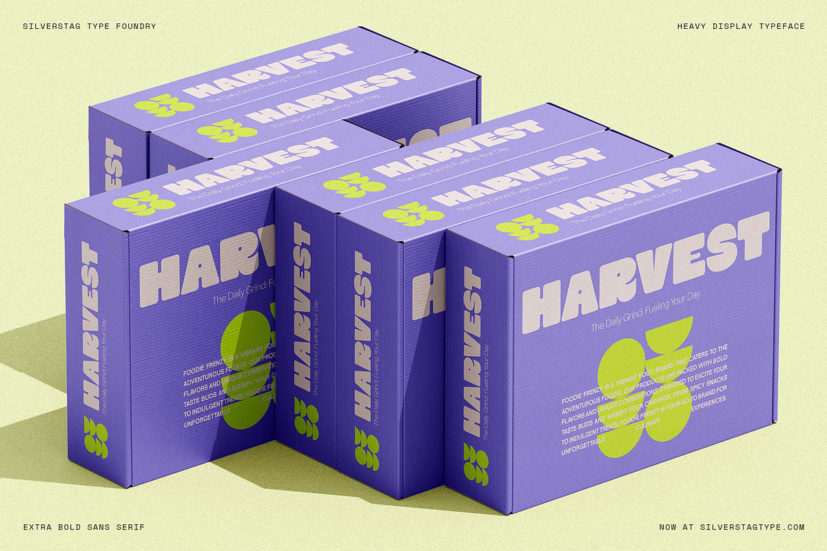 SLTF Curo - Heavy Display Typeface, a Sans Serif Font by SilverStag Type Foundry (Photo 20 of 20)