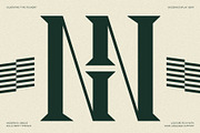 Tangled Rockaway Vintage Serif Font, a Serif Font by SilverStag Type Foundry (Thumbnail 7 of 18)