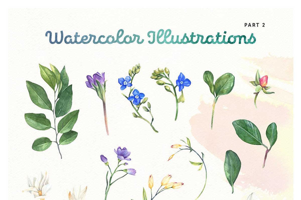 Summer Bloom Watercolor Set, an Animal Illustration by pixelbuddha.net (Photo 3 of 7)