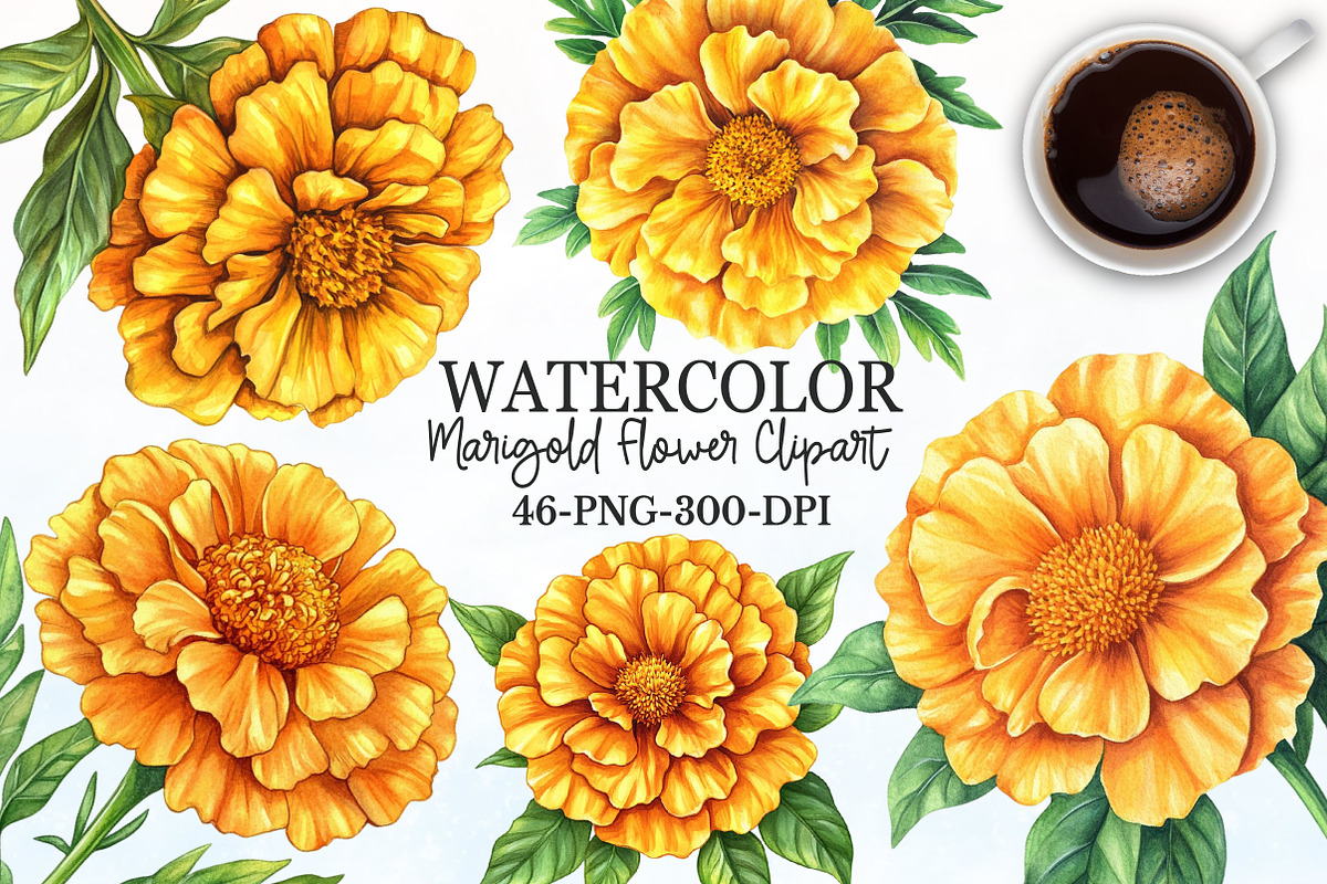 Marigold Flower Bloom Clipart, an Illustration by Rose Art (Photo 1 of 8)