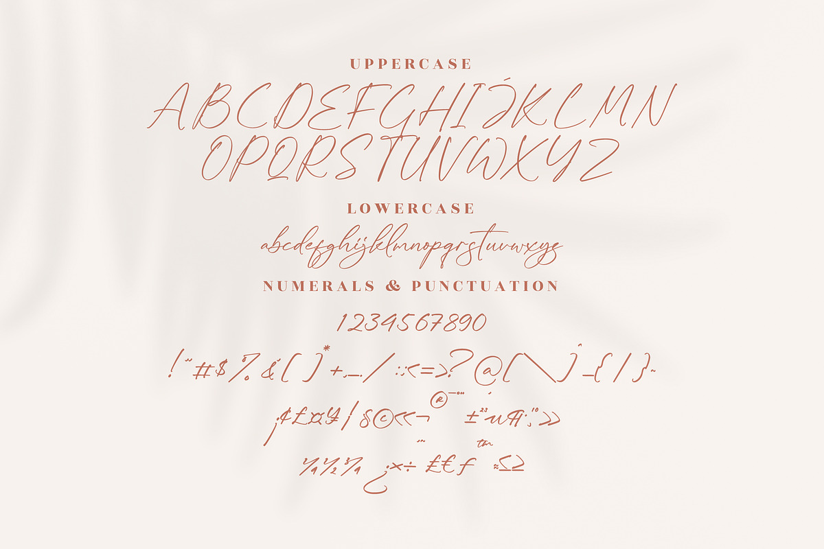 Kaldista Project Modern Signature, a Script Font by Letterena Studios Script (Photo 13 of 15)