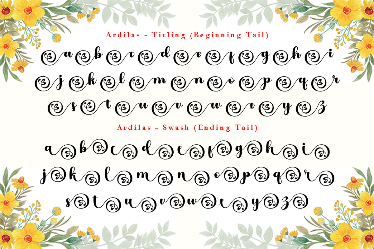 Ardilas, a Script Font by TM Type (Photo 8 of 10)