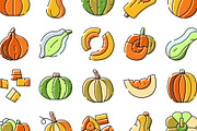 Pumpkins and squash whole and sliced, an Object Graphic by pikepicture (Thumbnail 3 of 3)