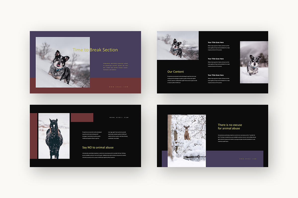 Arosi : Conservation Powerpoint, a Presentation Template by Punkl Camp (Photo 15 of 16)